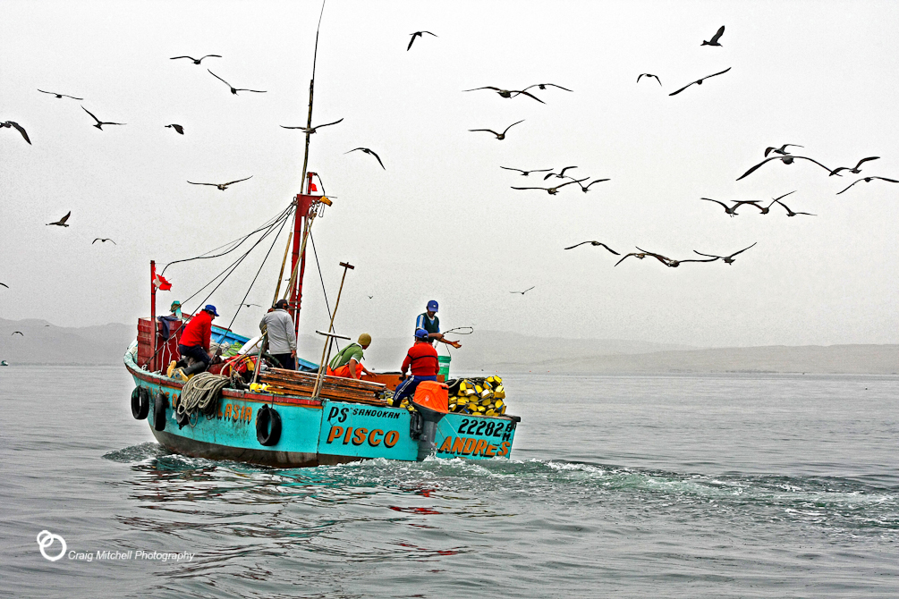 Pisco Fishermen